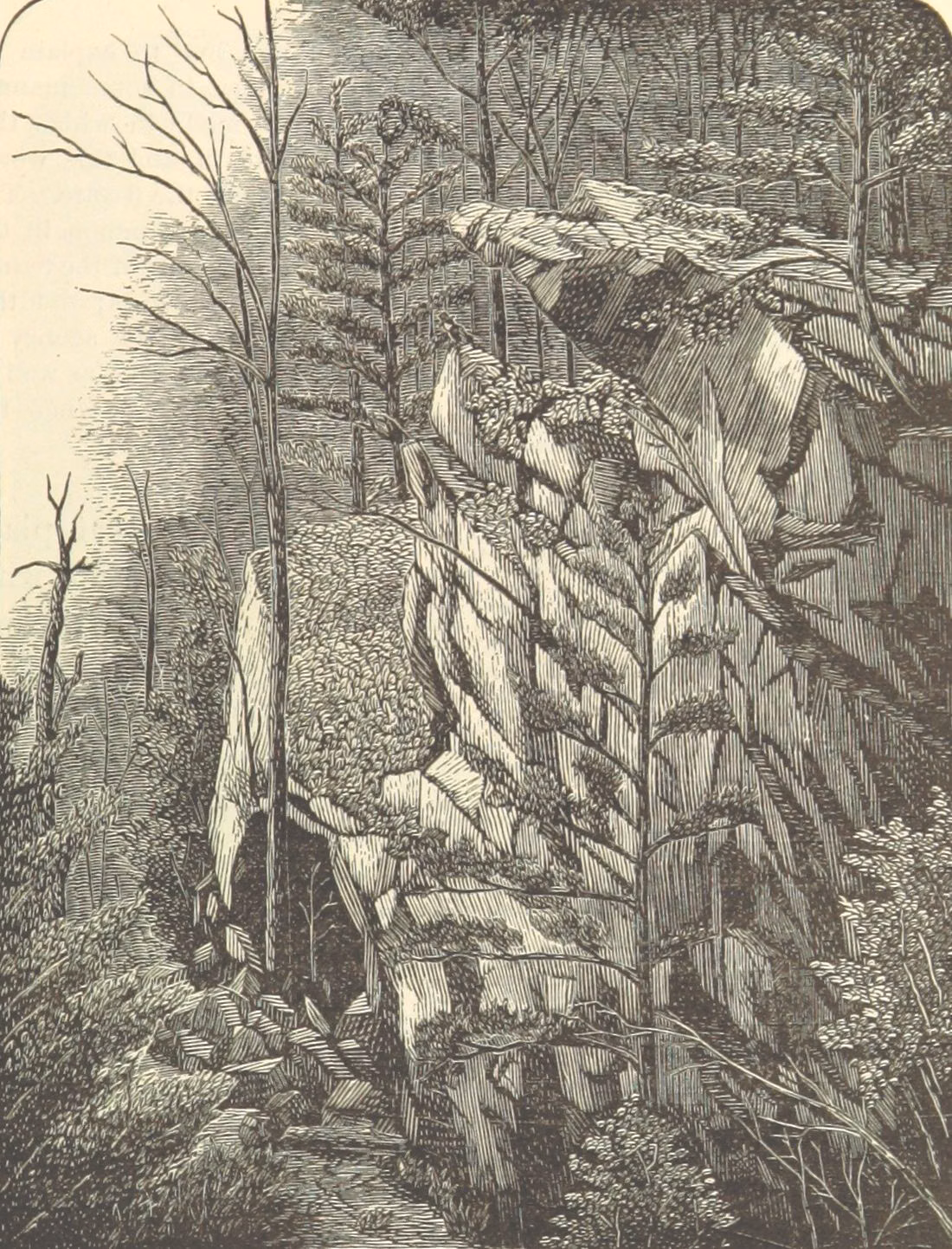 1878 engraving inside Purgatory Chasm in Sutton, a tall split rock wall with trees growing from the rocks