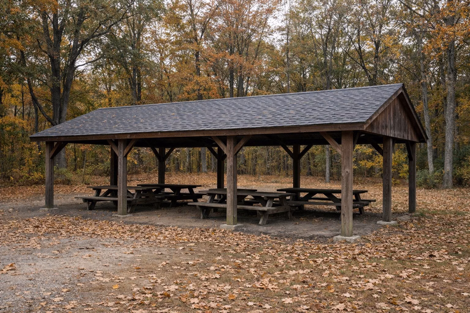 An open-sided wooden picnic pavilion in a clearing of autumn oak woods