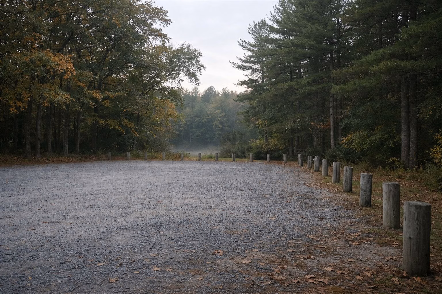 An empty gravel parking area edged with wooden posts at the edge of oak and pine woods