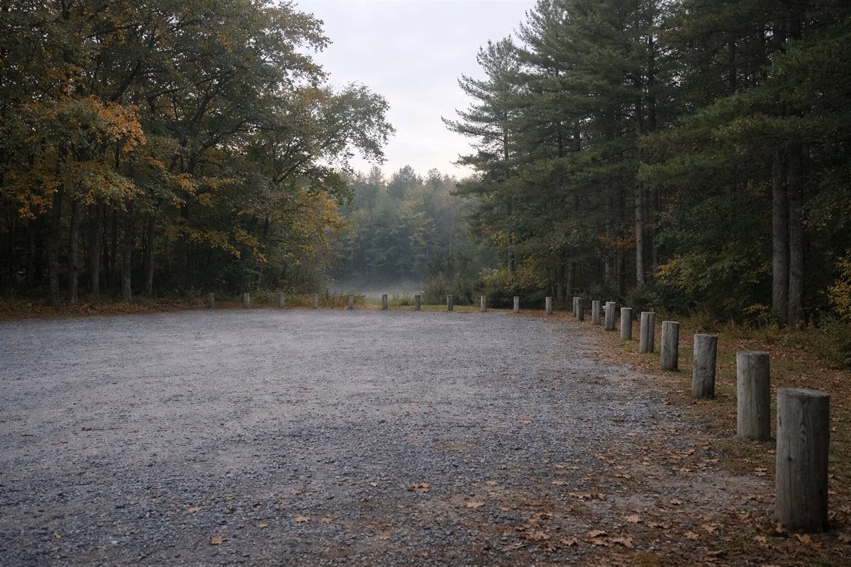 An empty gravel parking area edged with wooden posts at the edge of oak and pine woods