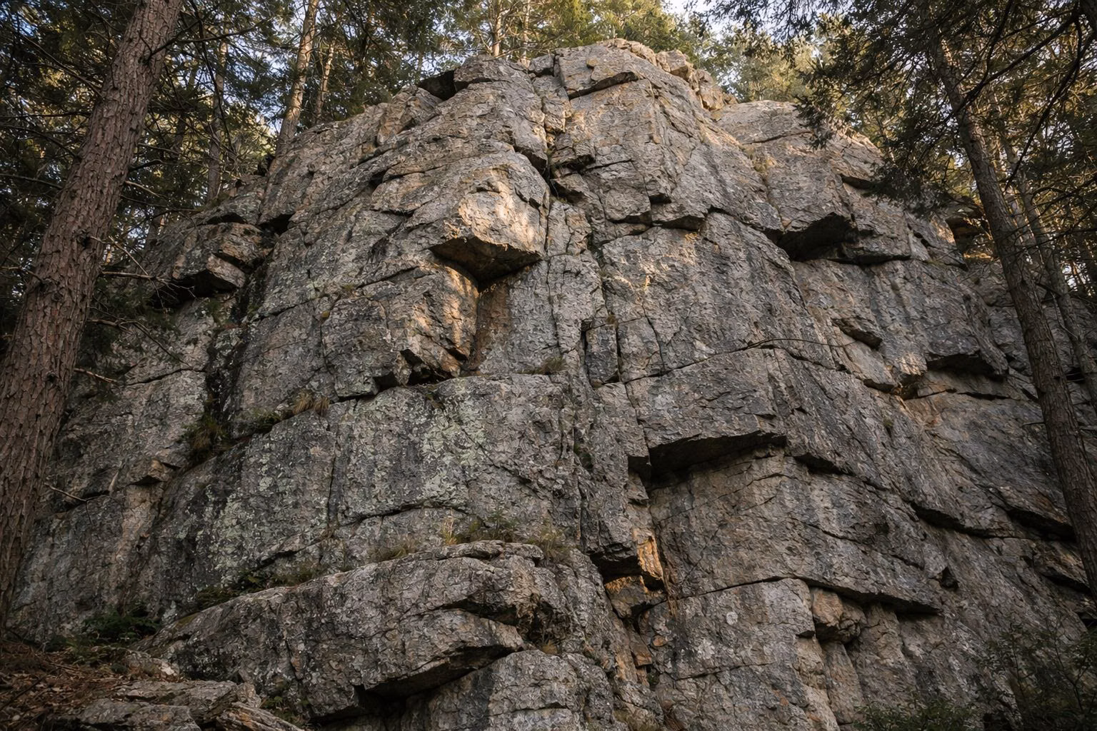 A weathered rock face with cracks and lichen in a hemlock forest
