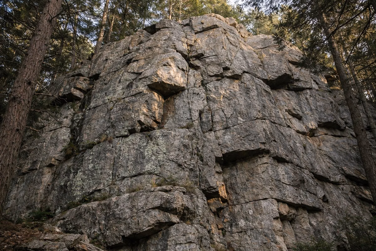 A weathered rock face with cracks and lichen in a hemlock forest